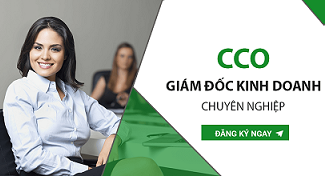 Đào tạo CCO - Giám đốc kinh doanh