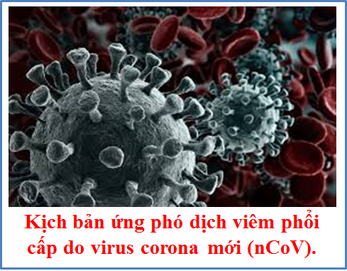 Tư vấn RBA - Kịch bản ứng phó dịch viêm phổi cấp do virus corona mới (nCoV)