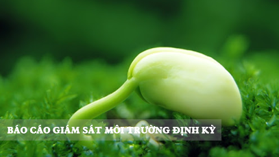 Tư vấn lập báo cáo giám sát môi trường định kỳ